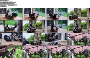 [半岛束艺] 海语跟屁绳-丝依依