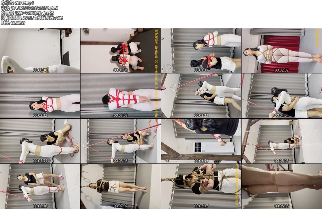 [路由原创] 小夜和小贝-丝依依