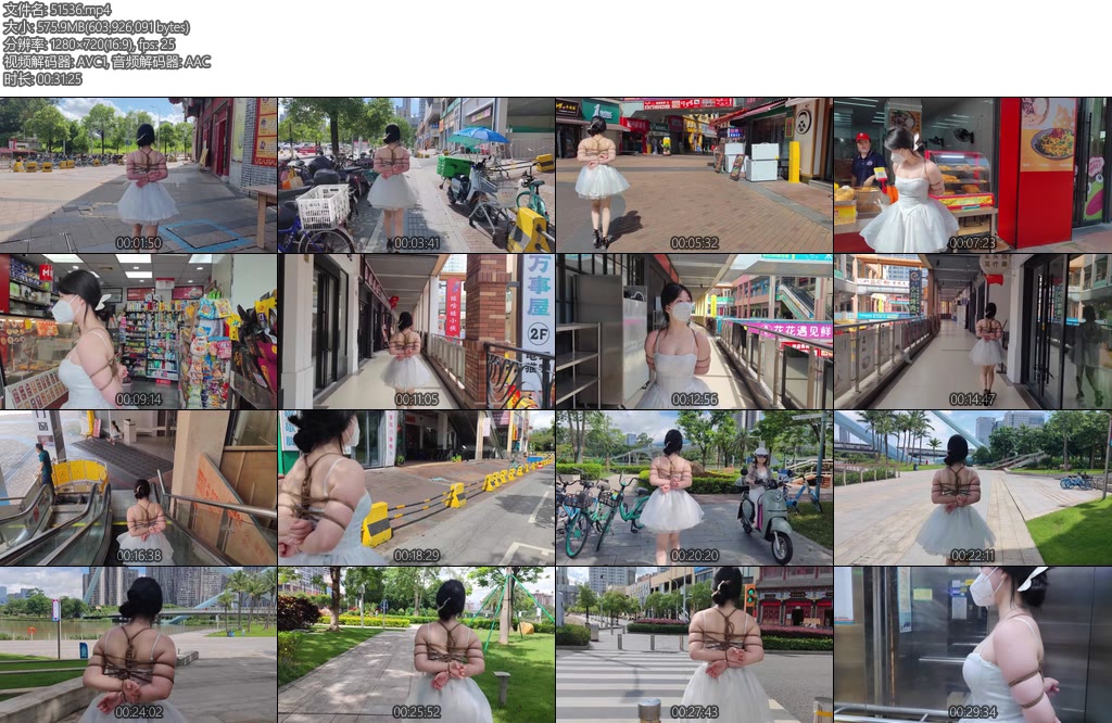 [长颜草] 捆绑户外逛街过马路摊位便利店购物-丝依依