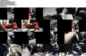 [菅野百合子] 菅野百合子明日方舟cos梅尔-丝依依