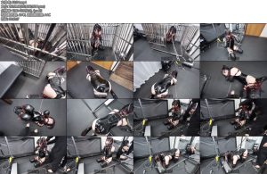 [D-Lemon] ヒトイヌ拘束引き回しcomplete plan-丝依依