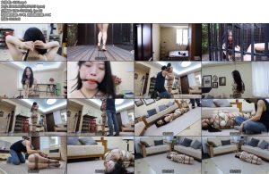 [半岛束艺] 海语自觉的礼物-丝依依