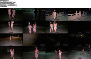 [Raymond] 回音被裹挟着进行了有史以来最刺激的一次户外游戏羞耻感拉到顶物理马赛克-丝依依