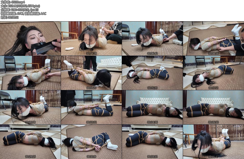 [枫叶原创] 不劳而获之盗下-丝依依