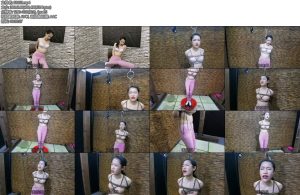 [飞天原创] 把艺仙儿后手观音紧缚到水盆里远程遥控电刑和水刑最后是什么结果-丝依依