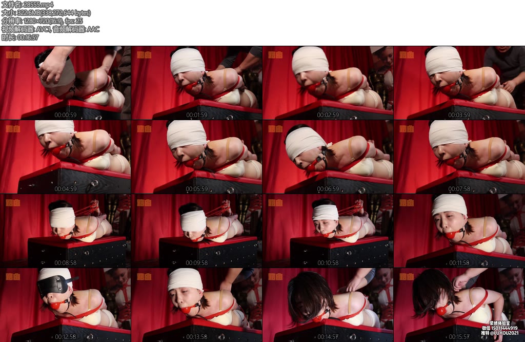 [路由原创] 小姐姐反弓驷马大挑战-丝依依