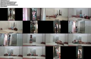 [CD伪娘] 小诡的自缚71 粉丝送的马具塞口球-丝依依