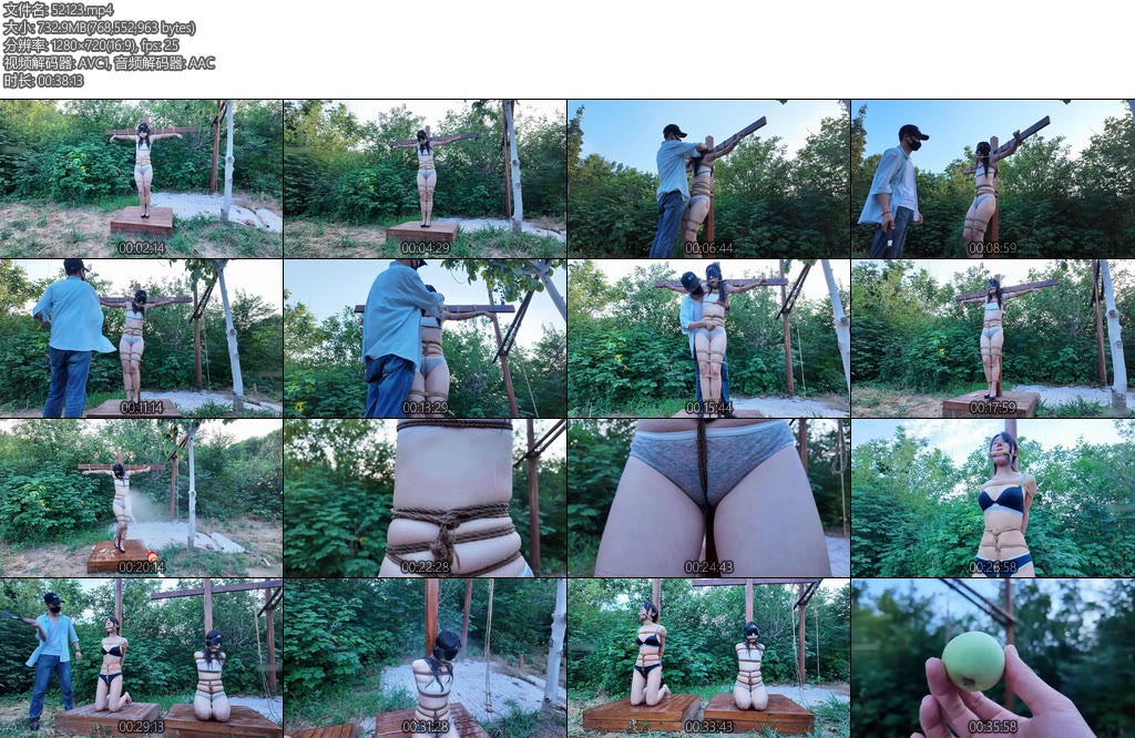 [一绳所爱] 野外姐妹花杨若琳若雨-丝依依