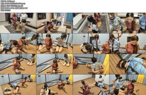 [李大侠] 特战行动下-丝依依