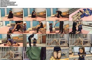 [李大侠] 女搜查被擒记-丝依依