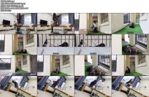 [半岛束艺] 海语2023春夏户外前战-丝依依