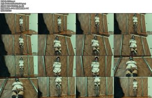 [亚洲绳艺] ナースの妄想放置看護Nurses Fantasy] Neglected Nursing-丝依依