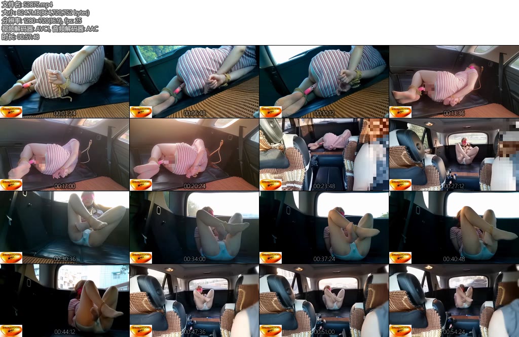 [魅影空间] 车内押运之炮机押运到调教室车内提前预热了大小炮机上阵空调风压不住的呻吟扭动强高内裤上明显已经出水了-丝依依