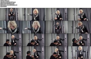 [闪闪原创] 双倍墙制糕朝篇-丝依依