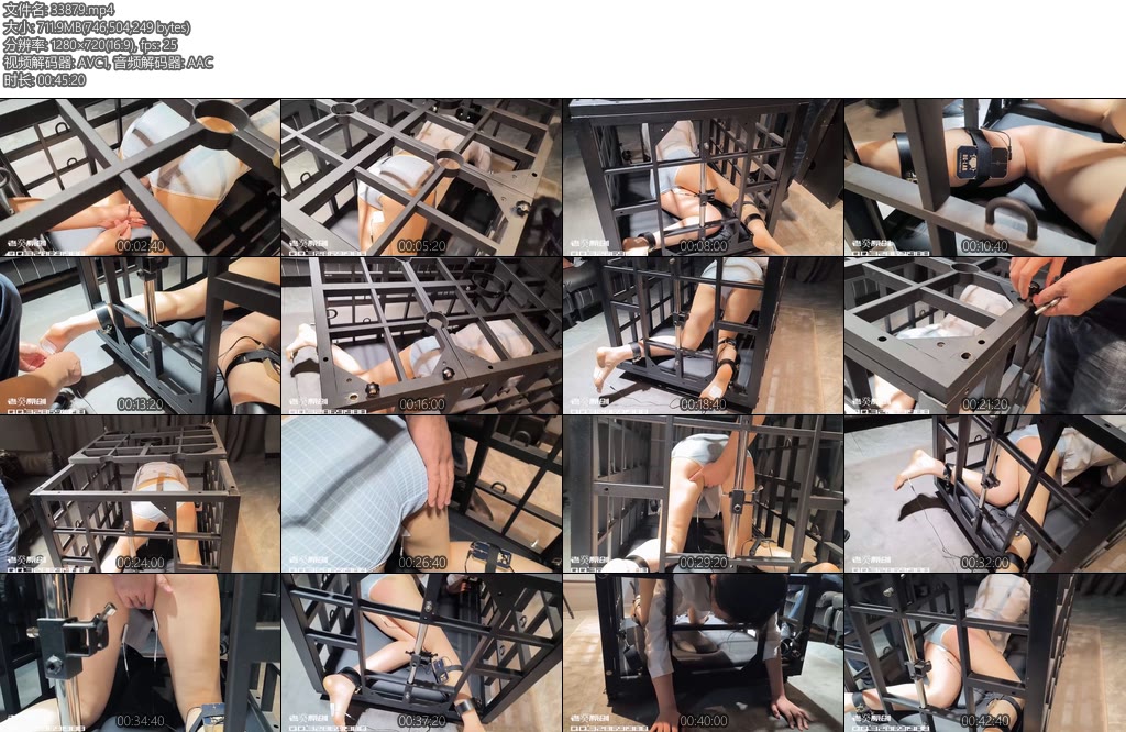 [老癸原创] 珊珊狗笼关押电击TJ狗笼关押电击真空羞辱打屁股恐惧惨叫哭泣绝望-丝依依