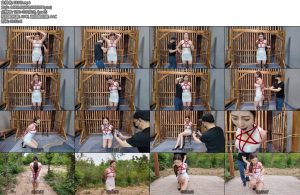 [李大侠] 红绳直臂五角星-丝依依