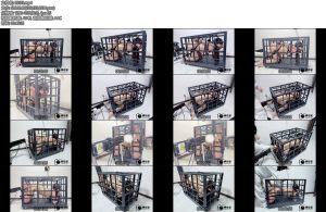 [缚心室] 大胸小美女体验笼中缚后手直臂吊于笼中强制固定完全无法挣扎肛钩拉紧强制抬头炮机AV棒刺激下不停高潮-丝依依