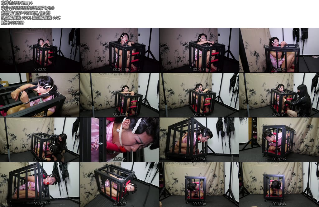 [胜景影视] 笼子里囚禁的女M-丝依依