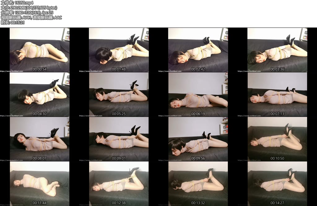 [绳次元] 肉丝高领！-丝依依