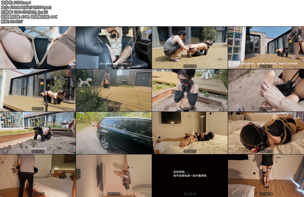 [白城原创] 第十四部富家千金绑架事件上集-丝依依