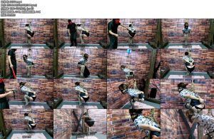 [飞天原创] 把骚奴这柱样吊起来玩到最后人工直接后入骚奴爽去吧-丝依依