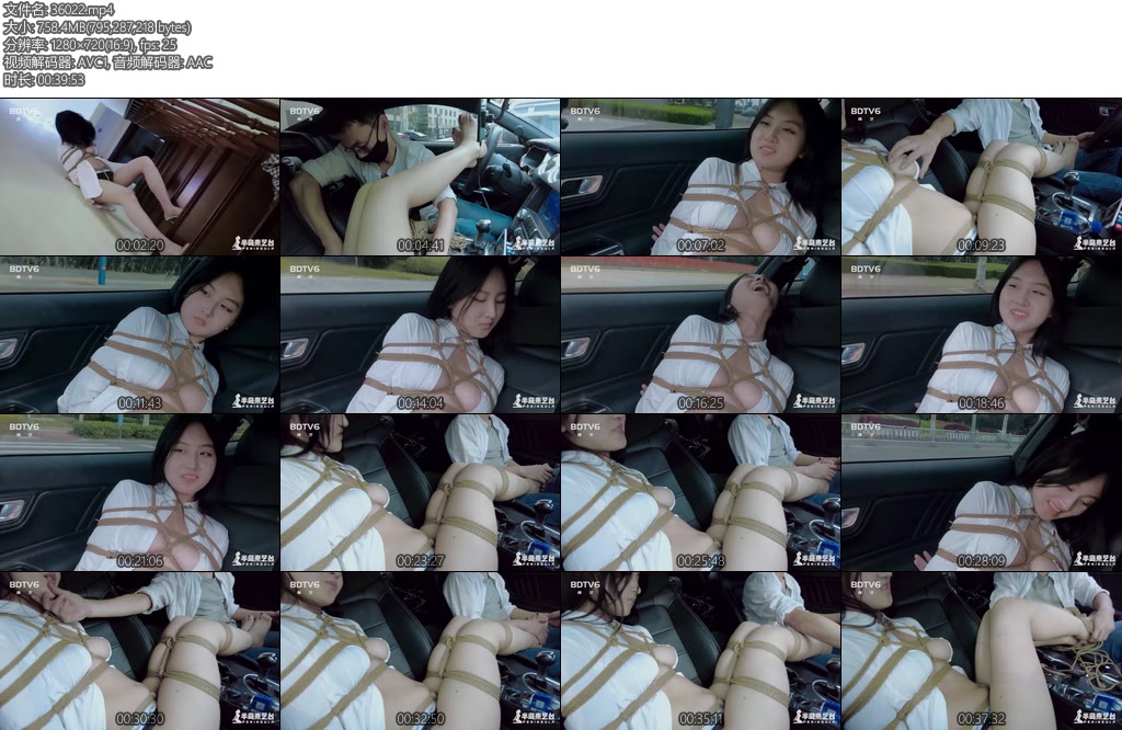 [半岛束艺] 矢崎人肉安全带-丝依依