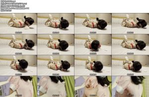 [杰仔原创] 新人小琴在劫难逃短片-丝依依