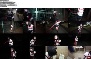 [D-Lemon] 野外拘束散歩調教Complete plan-丝依依