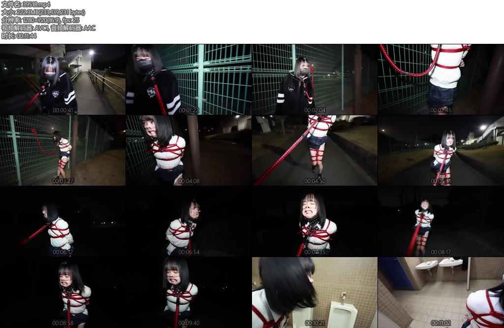 [D-Lemon] 野外拘束散歩調教Complete plan-丝依依