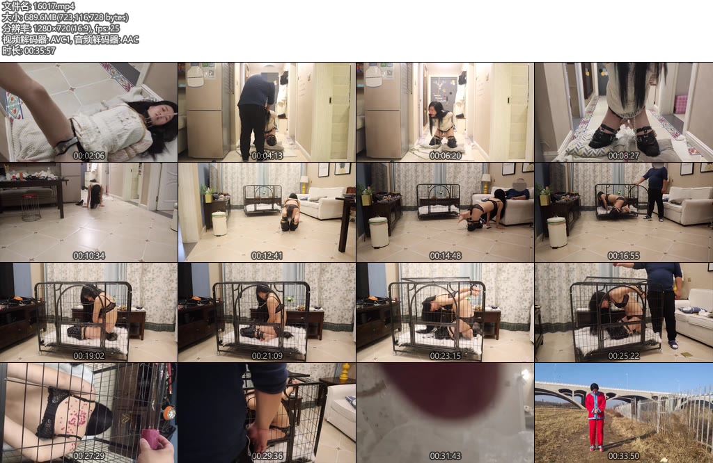 [夜未央] 丽人圈养日记（下集） 戴着尾巴的小母狗 犬化训练 关狗笼 严酷滴蜡 口球强高 婚纱捆绑 户外镣铐游玩-丝依依