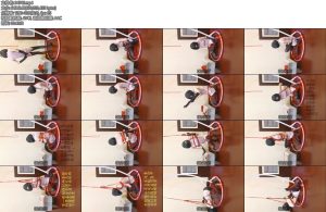 [一只萌熊] 吊篮固定的定时锁驷马自缚-丝依依