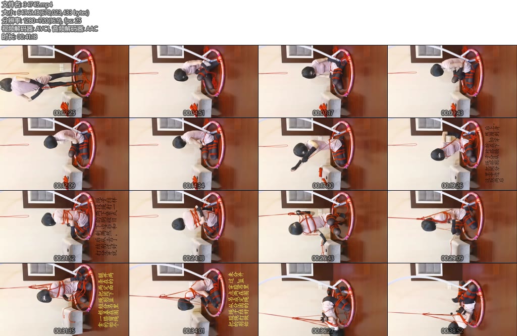 [一只萌熊] 吊篮固定的定时锁驷马自缚-丝依依