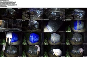 [满月之夜] 户外狗笼禁锢放置PLAY 锁链+湿身-丝依依