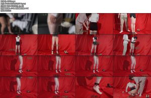 [涵涵原创] 女上司的秘密第二部上-丝依依