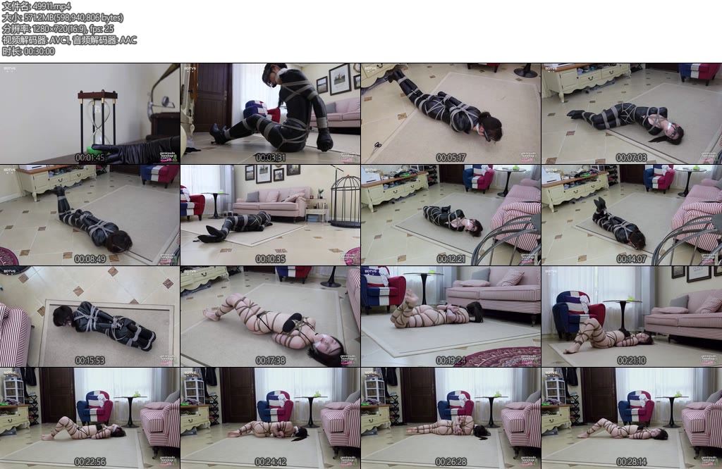 [半岛束艺] 流星缚仇者上-丝依依