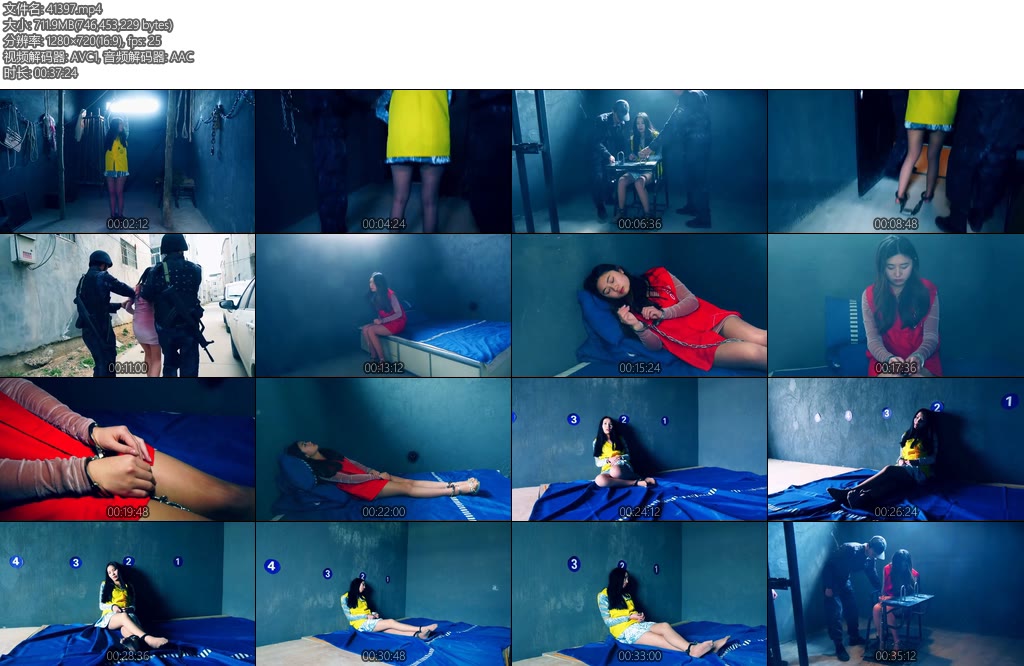 [胜景影视] 四集法治新片女魔头的末日第二集女魔头2号刘莉落网-丝依依