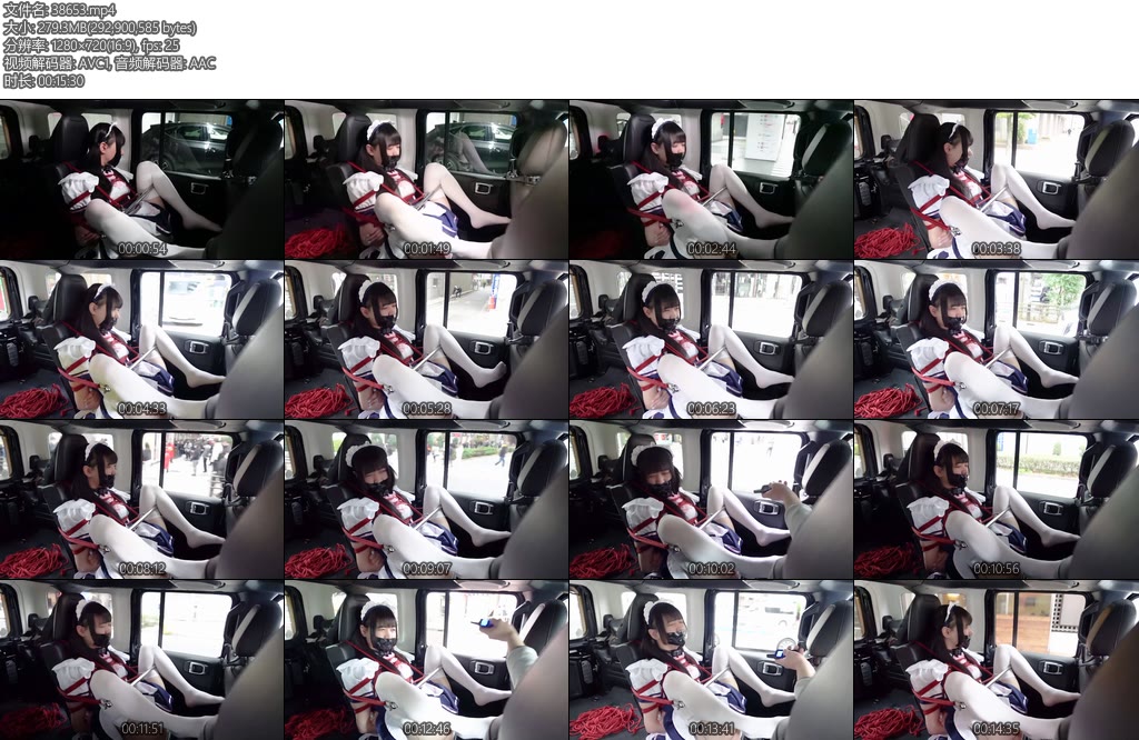 [D-Lemon] メイド緊縛ドライブ調教complete plan无声-丝依依