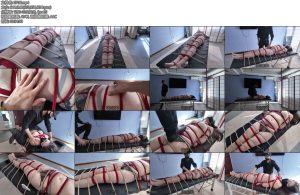 [一绳所爱] 床上的羔羊杨蕊-丝依依