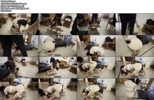 [缚予原创] 你的女神我的狗系列训狗初篇（上）大美女皮皮私下里竟是别人的狗K9缚绑起来跪地惩罚踮-丝依依