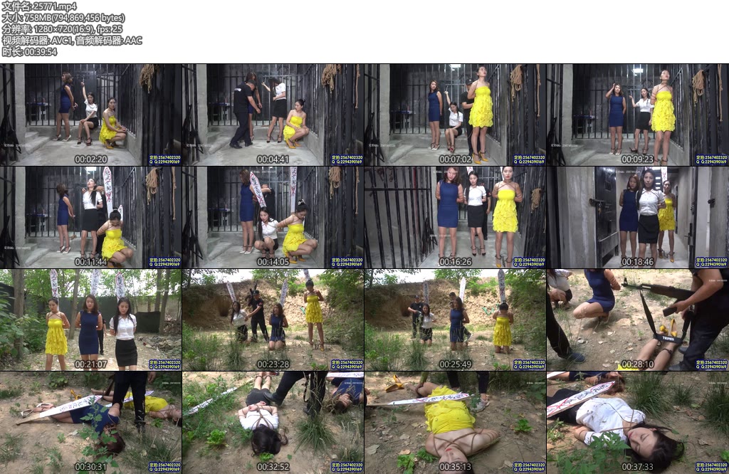 [MJ影视] 三女赴刑场 苏冰倩梅子欧阳晓慧-丝依依