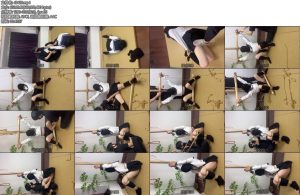 [麦子原创] 妻奴麦子妻奴麦子之小趴菜版-丝依依