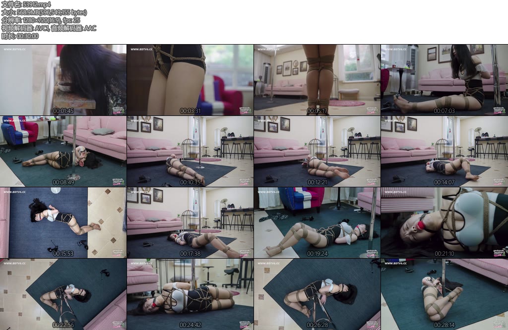 [半岛束艺] 海语狸花劫-丝依依