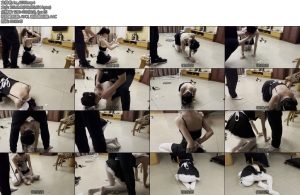 [缚予原创] 调教之白丝女仆装羞辱大抽奖小m被要求穿上白丝和女仆装跪爬着去抽纸条抽到什么惩罚内容-丝依依