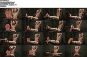 [欧美绳艺] Arina Bastinado and tickling for topless cutie-丝依依