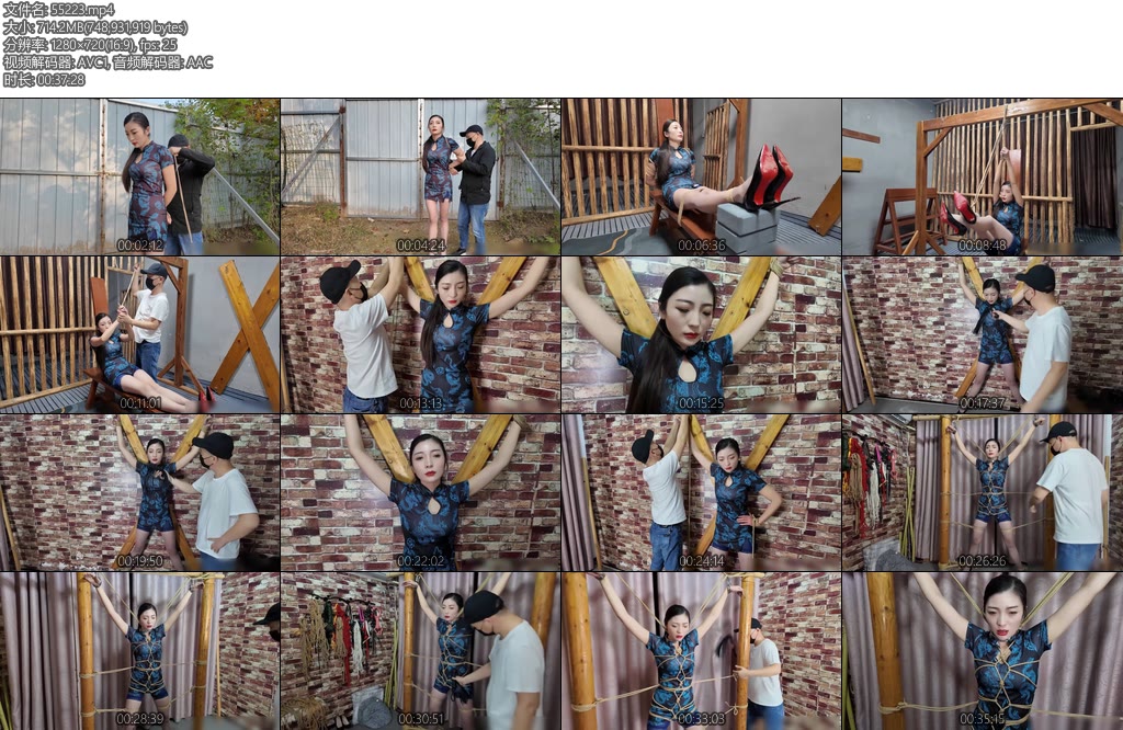 [李大侠] 深入虎穴之营救失败-丝依依