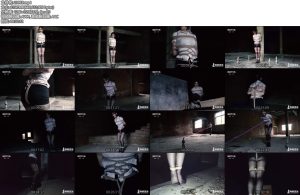 [半岛束艺] 古墓丽影（上下完整版）-丝依依