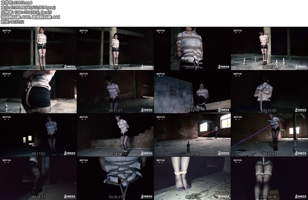 [半岛束艺] 古墓丽影（上下完整版）-丝依依