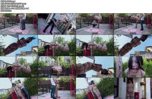 [半岛束艺] 矢崎趁冬天还没来-丝依依