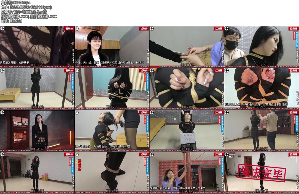 [精致原创] 斯特兰奇法制电视台红蜘蛛第一集绞刑架下的谍影-丝依依