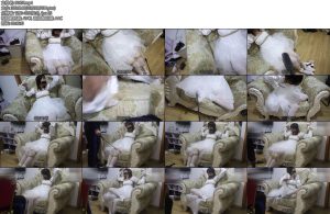 [荷仙原创] 荷仙少女 婚纱少女B本本祝婚快乐还这么年轻清纯就穿上婚纱了这不给好好绑起来玩弄玩弄一番吗一袭婚纱捆绑堵嘴拿鞭子捅玩女孩B的身体看着敏感的少女B本本痛苦的样子真是绝了双视角-丝依依